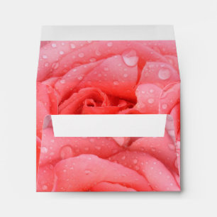 Romantic Pink Rose Water Drops Envelope