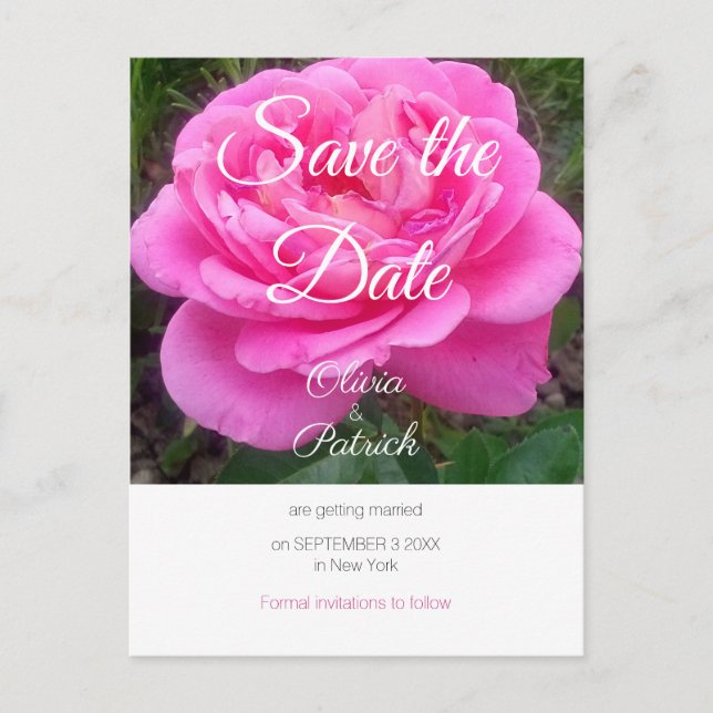 Romantic Pink Rose Wedding Save the Date  Invitation Postcard (Front)