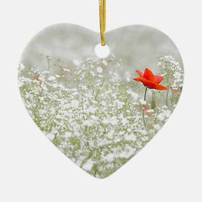 Romantic Poppy Flower Red White Meadow Ceramic Ornament (Front)