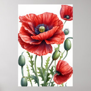 Romantic Poppy Flowers Blossom Digital Art Poster