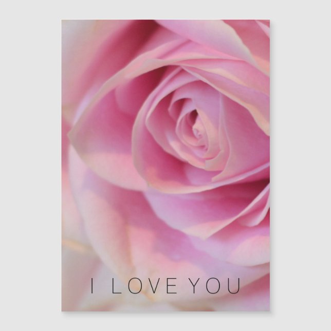 Romantic Pretty Pink Rose Flower Love (Front)