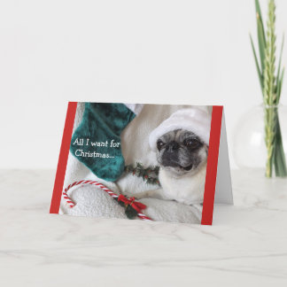 Romantic Pug Christmas Card