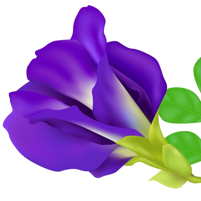 Romantic Purple Flower Save the Date Magnet  (Flower)