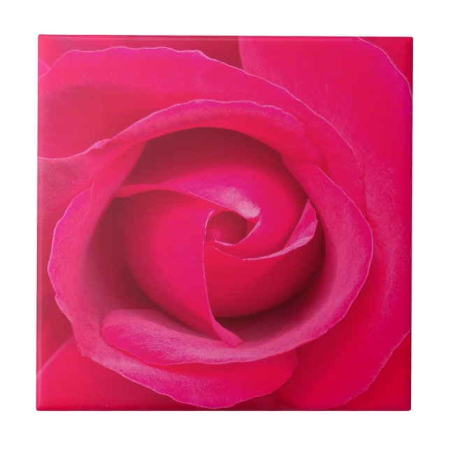 Romantic Red Pink Rose Tile (Front)