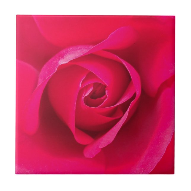 Romantic Red Pink Rose v2 Ceramic Tile (Front)