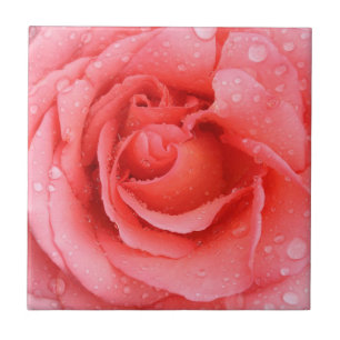 Romantic Red Pink Rose Water Drops Ceramic Tile