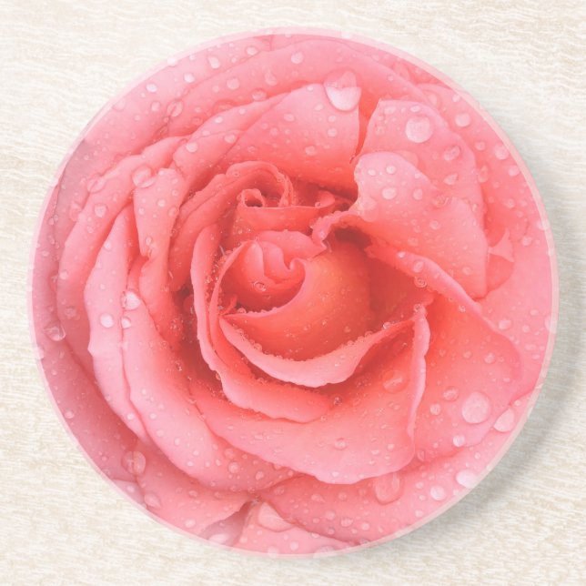 Romantic Red Pink Rose Water Drops Coaster (Front)