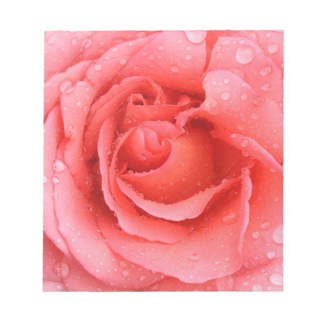 Romantic Red Pink Rose Water Drops Notepad (Front)