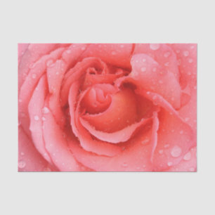 Romantic Red Pink Rose Water Drops Tissue Paper