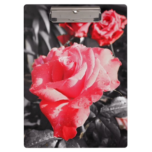 Romantic Red Roses Clipboard (Front)
