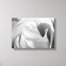 Romantic Rose Black and White Flower