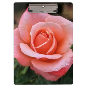 Romantic Rose Botanical Art Print Clipboard