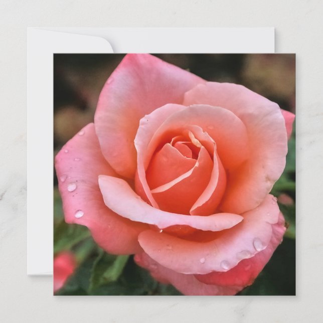Romantic Rose Botanical Art Print Holiday Card (Front)