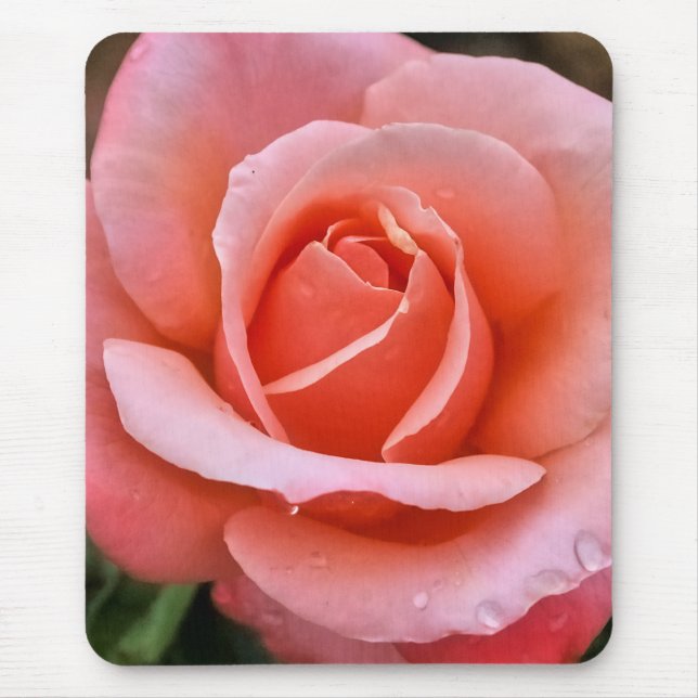 Romantic Rose Botanical Art Print Mouse Pad (Front)
