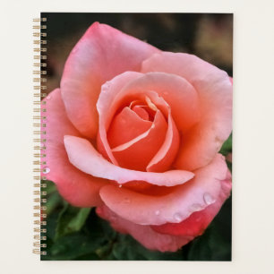 Romantic Rose Botanical Art Print Planner