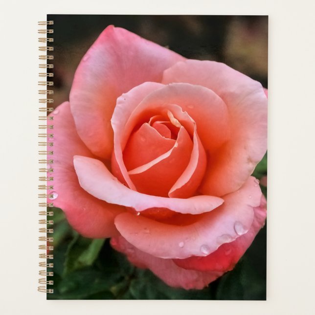 Romantic Rose Botanical Art Print Planner (Front)