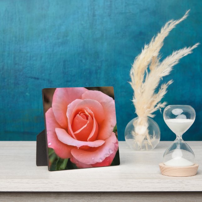 Romantic Rose Botanical Art Print Plaque (Insitu)