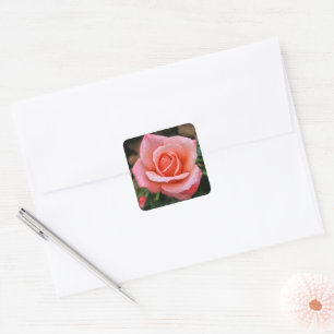 Romantic Rose Botanical Art Print Square Sticker