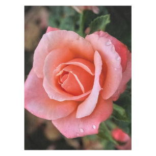 Romantic Rose Botanical Art Print Tablecloth