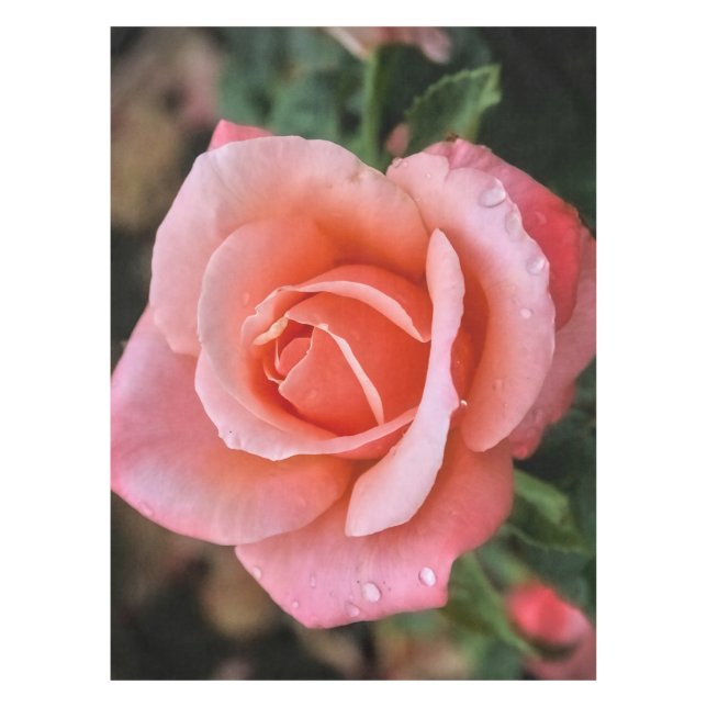 Romantic Rose Botanical Art Print Tablecloth (Front)