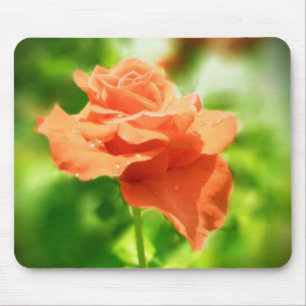 Romantic Rose Flowers #2 Mouse Pad