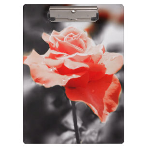 Romantic Rose Flowers #3 Clipboard