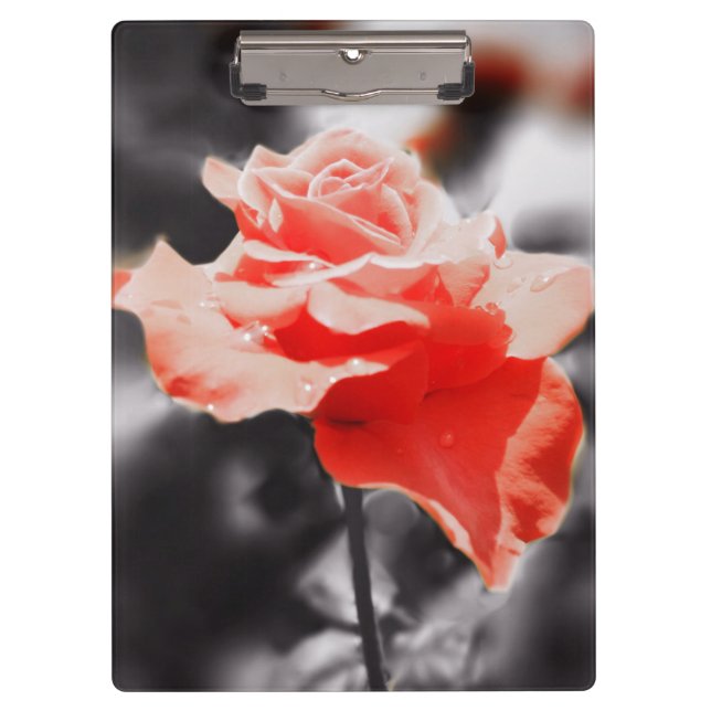 Romantic Rose Flowers #3 Clipboard (Front)