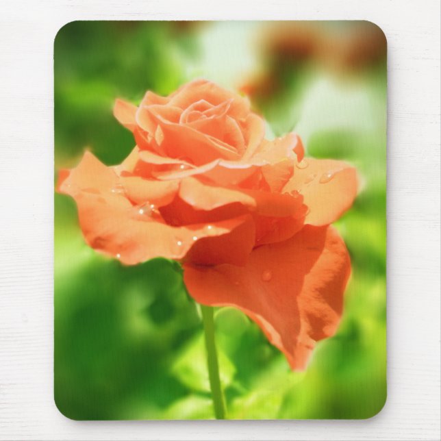 Romantic Rose Flowers Mouse Pad (Front)
