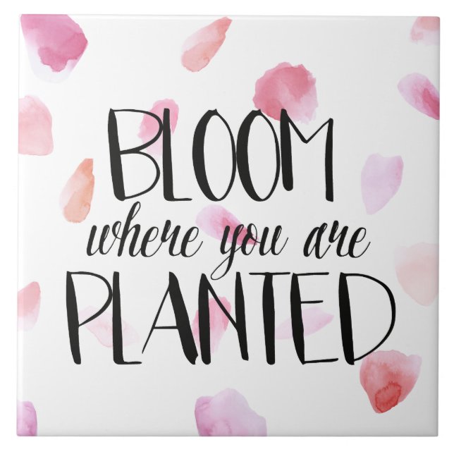 Romantic Rose Petals Bloom Tile (Front)