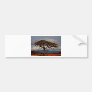 Romantic Safari Africa Bridal Shower Custom Peace Bumper Sticker