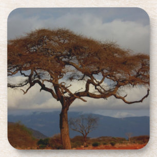Romantic Safari Africa Bridal Shower Custom Peace Coaster