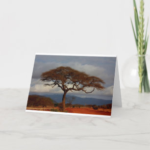 Romantic Safari Africa Bridal Shower Custom Peace Thank You Card