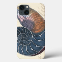 Romantic Seashell