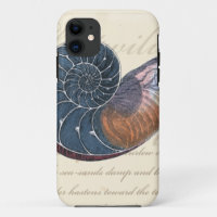 Romantic Seashell