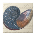 Romantic Seashell Ceramic Tile<br><div class="desc">Do you live far away from the beach? No problem! Get this romantic seashell painting so you can image yourself sitting on a peaceful beach on a warm sunny day. This piece of art romanticises the sea and the little waves which will leave you yearning for a visit the beach....</div>