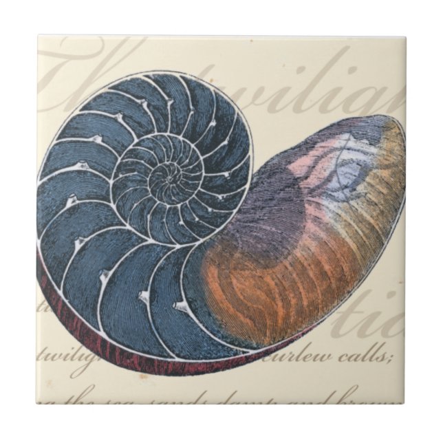 Romantic Seashell Ceramic Tile (Front)