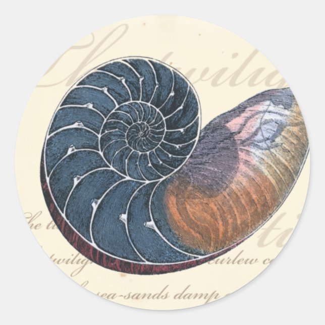 Romantic Seashell Classic Round Sticker (Front)