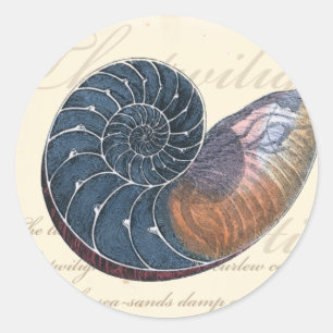 Romantic Seashell Classic Round Sticker