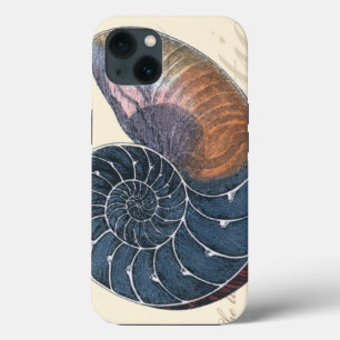 Romantic Seashell iPhone Case