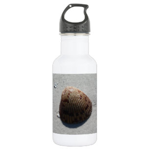 Romantic seashell on the beach in Florida 532 Ml Water Bottle