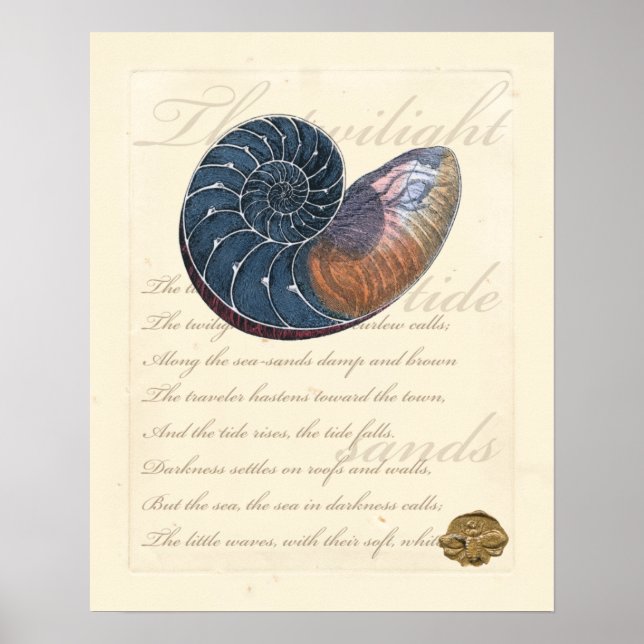 Romantic Seashell Poster (Front)