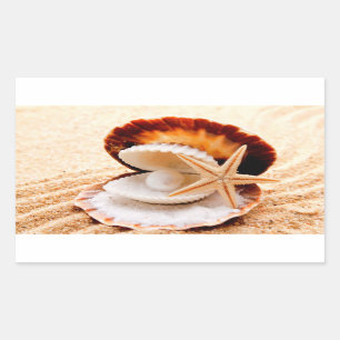 Romantic seashells on the beach stickers