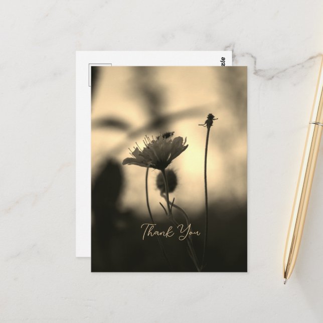 Romantic Sepia Flower – Botanical Fantasy Thanks Postcard (Front/Back In Situ)