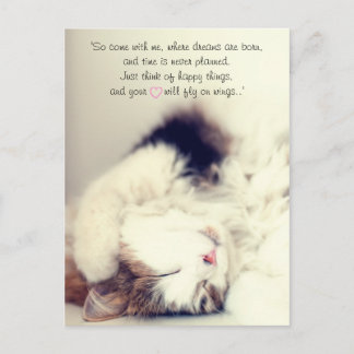 Romantic sleeping cat scene J.M. Barrie quote Postcard