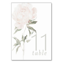 Romantic Soft Blush Peony Wedding