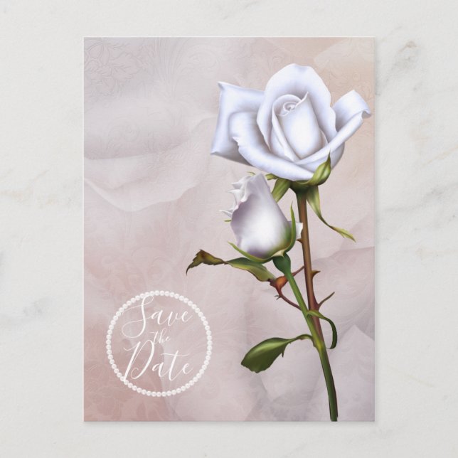 Romantic Soft White Roses Elegant Save the Date Announcement Postcard (Front)