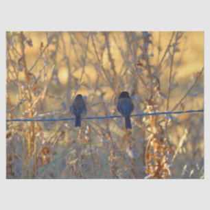 Romantic sparrow bird couple on a wire, Photo Tissue Paper