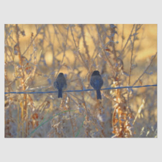 Romantic sparrow bird couple on a wire, Photo Tissue Paper