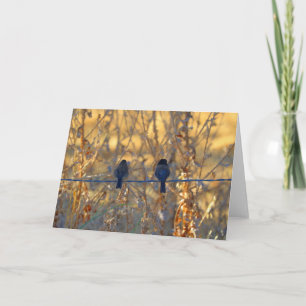 Romantic sparrow bird couple, Photo Greeting Card