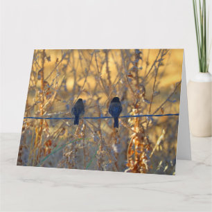 Romantic sparrow bird, Photo Big Greeting Card